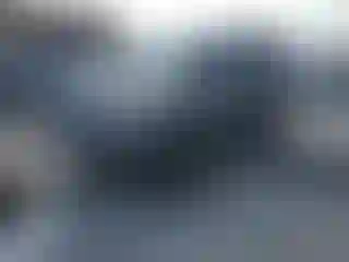 Vehicle Image- 2011 Ford Escape