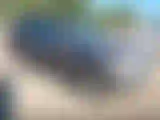 Vehicle Image- 2011 Ford Escape