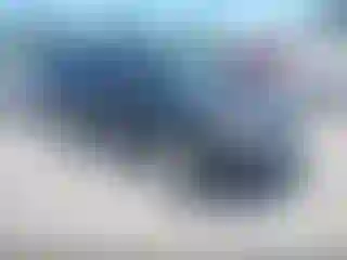 Vehicle Image- 2010 Ford Escape