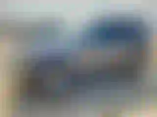 Vehicle Image- 2011 Ford Escape