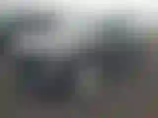 Vehicle Image- 2020 Ford Escape