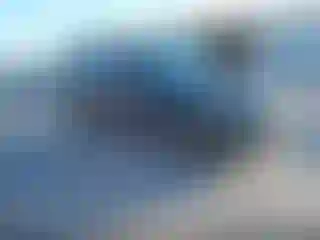 Vehicle Image- 2020 Ford Escape