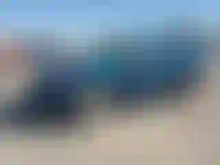 Vehicle Image- 2020 Ford Escape