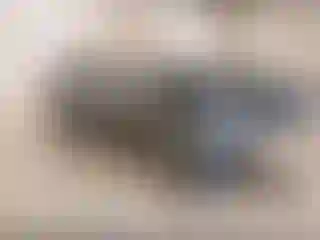 Vehicle Image- 2015 Ford Escape