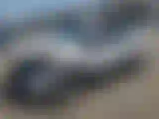 Vehicle Image- 2018 Ford Escape