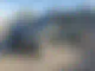 Vehicle Image- 2019 Ford Escape