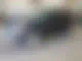 Vehicle Image- 2015 Ford Escape