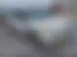 Vehicle Image- 2015 Ford Escape