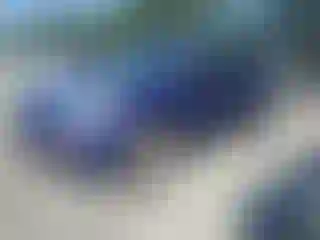 Vehicle Image- 2014 Ford Escape