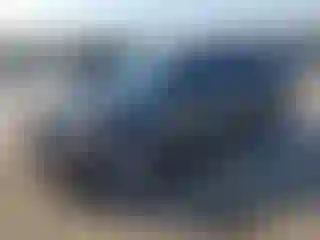 Vehicle Image- 2016 Ford Escape