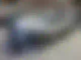 Vehicle Image- 2016 Ford Escape