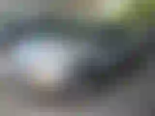 Vehicle Image- 2016 Ford Escape