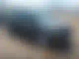 Vehicle Image- 2019 Ford Escape