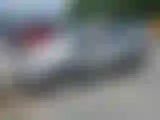 Vehicle Image- 2013 Ford Escape