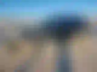 Vehicle Image- 2014 Ford Escape