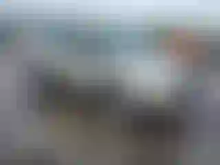 Vehicle Image- 2017 Ford Escape