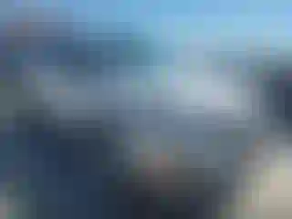 Vehicle Image- 2019 Ford Escape