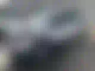 Vehicle Image- 2019 Ford Escape