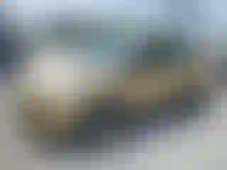 Vehicle Image- 2014 Ford Escape