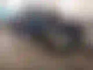 Vehicle Image- 2014 Ford Escape