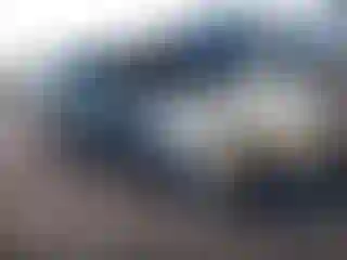 Vehicle Image- 2015 Ford Escape