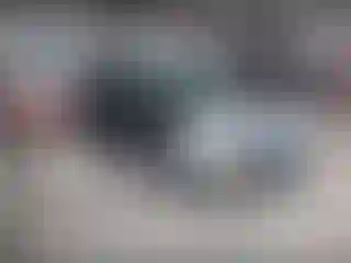 Vehicle Image- 2016 Ford Escape