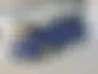 Vehicle Image- 2016 Ford Escape