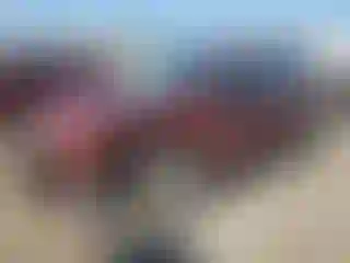 Vehicle Image- 2016 Ford Escape