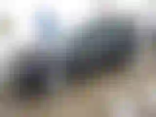 Vehicle Image- 2017 Ford Escape