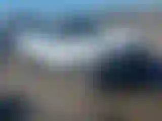 Vehicle Image- 2019 Ford Escape