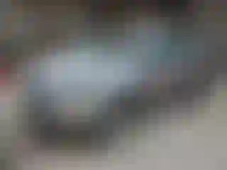 Vehicle Image- 2019 Ford Escape