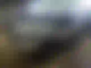 Vehicle Image- 2019 Ford Escape