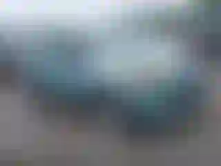 Vehicle Image- 2013 Ford Escape