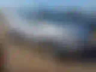 Vehicle Image- 2014 Ford Escape