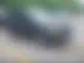 Vehicle Image- 2015 Ford Escape