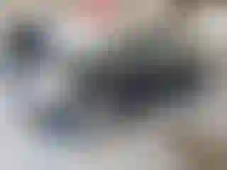 Vehicle Image- 2015 Ford Escape