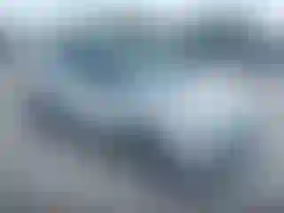 Vehicle Image- 2016 Ford Escape