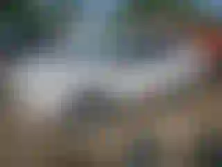 Vehicle Image- 2016 Ford Escape