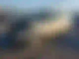 Vehicle Image- 2017 Ford Escape