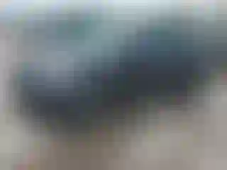 Vehicle Image- 2017 Ford Escape
