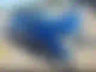 Vehicle Image- 2019 Ford Escape