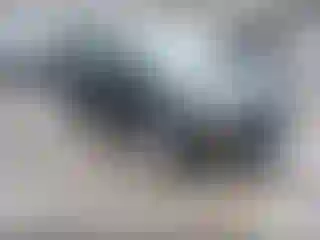 Vehicle Image- 2019 Ford Escape