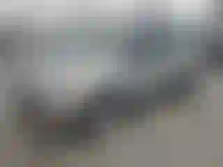 Vehicle Image- 2013 Ford Escape