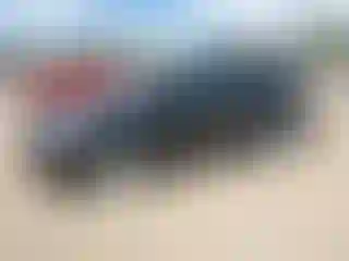 Vehicle Image- 2013 Ford Escape