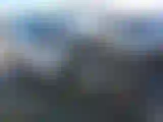 Vehicle Image- 2014 Ford Escape