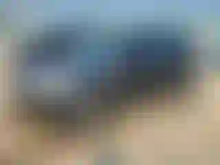 Vehicle Image- 2014 Ford Escape
