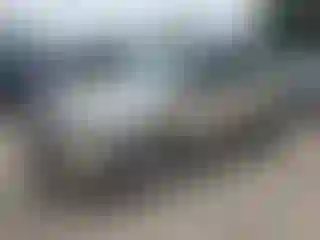 Vehicle Image- 2017 Ford Escape