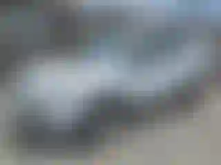 Vehicle Image- 2013 Ford Escape