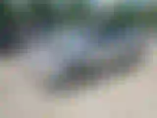 Vehicle Image- 2014 Ford Escape