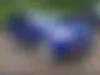 Vehicle Image- 2014 Ford Escape